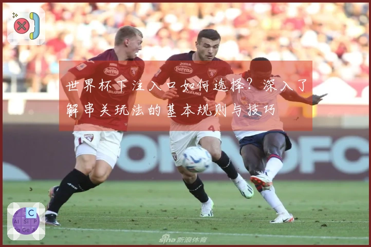 世界杯下注入口如何选择？深入了解串关玩法的基本规则与技巧