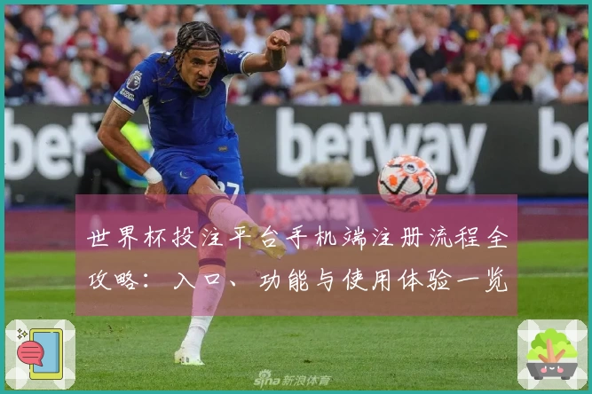 世界杯投注平台手机端注册流程全攻略：入口、功能与使用体验一览