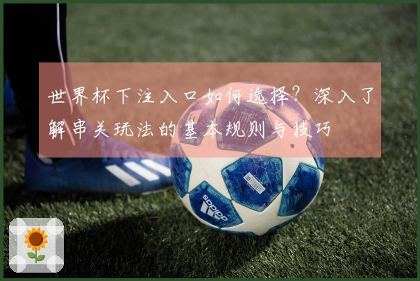 世界杯下注入口如何选择？深入了解串关玩法的基本规则与技巧