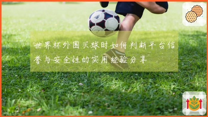 世界杯外围买球时如何判断平台信誉与安全性的实用经验分享